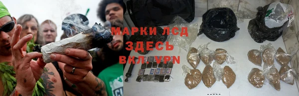 стаф Армянск