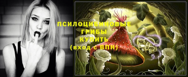 стаф Армянск