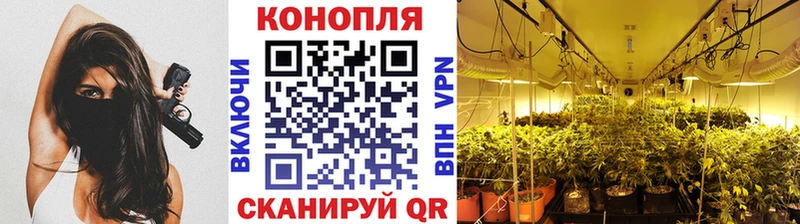 что такое наркотик  Великие Луки  Шишки марихуана индика 